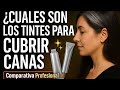 Cuales sin los TINTES para cubrir CANAS