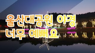 울산대공원 풍요의못 영상
