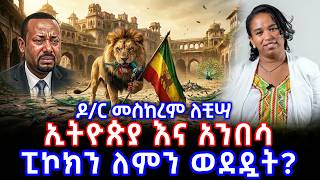             Dr Meskerem Lechissa