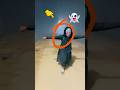 POV: WHEN SERBIAN LADYATTACK ON BOYS GROUP 🤣😱🕺 #hanuman #hanumanji #ghost #viral #shorts
