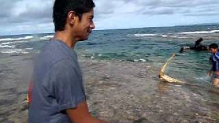 Tonga video kids playing.AVI