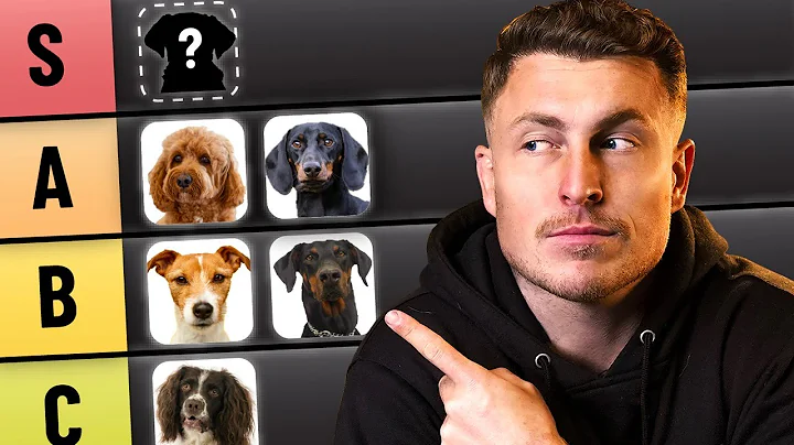 My evidence based guide to dog breeds (for first time owners) thumbnail