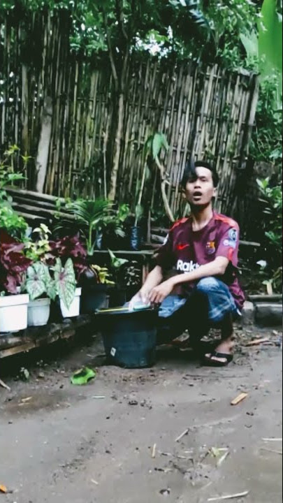 Story WA Lucu!!!😂 Cewek Tendang Botol 😁 || Kang ASA