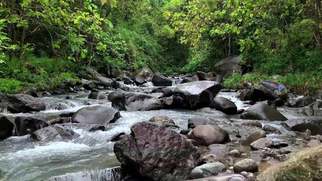 Soft river sound near peaceful tree-lined river letting deeper deep sleep protect mind peacefully