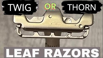 Leaf Thorn vs. Leaf Twig: The Ultimate Showdown