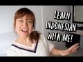 Steph Speaks Indonesian // One Month in Jakarta Update ^^