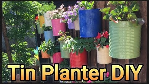 DIY Tin Can Planters: Upcycling Your Home Garden