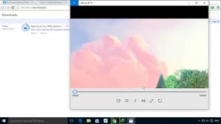 Internet Download Manager systam video screenshot 2