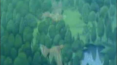 The last unicorn: that