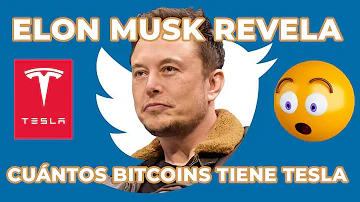 ¿Cuántos Bitcoin posee Elon?