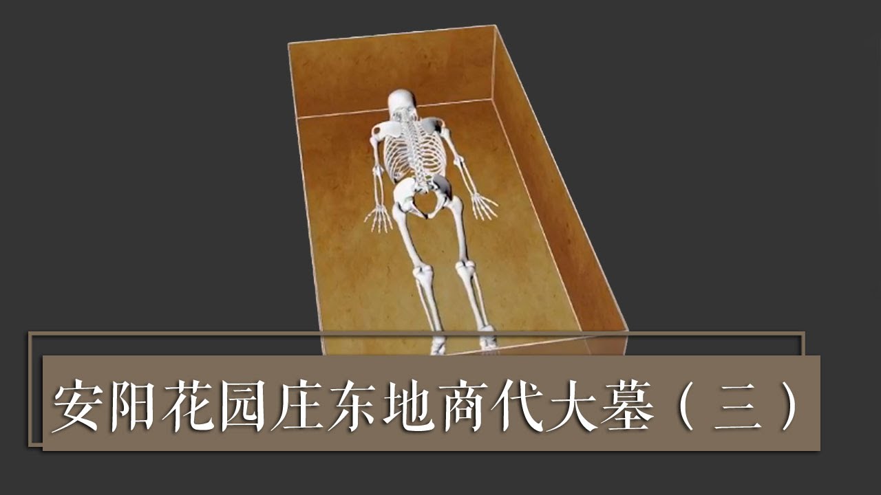 2020考古探奇》 第二季安阳花园庄东地商代大墓（三）墓主人亚长为何 
