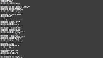 wordpress 4 on localhost could not create theme workaround on Linux