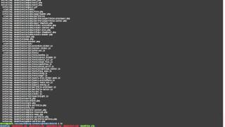 wordpress 4 on localhost could not create theme workaround on Linux