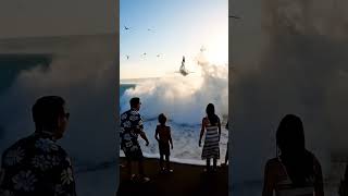 Wave Reveals the Ultimate Surprise Guest #shark