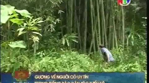 Người có uy tín trong đồng bào dân tộc thiểu số