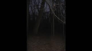 What Did You See? - cemeteries (slowed reverb intro part looped)