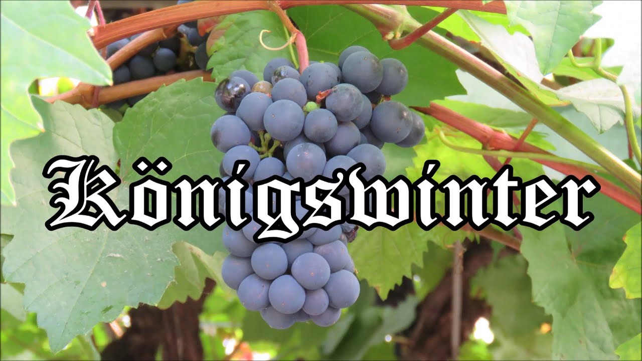 Königswinter am Rhein