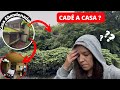 #173//🇯🇵TOUR EM UMA CASA ABANDONA NO JAPÃO / NO MEIO DA MONTANHA 😱!#japão #tour #limpeza