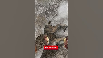 The lockpicking wolf?