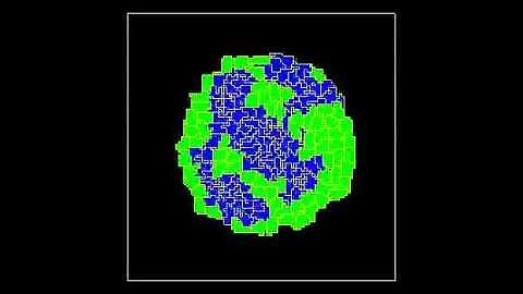 Cell Sorting (Cellular Potts Model)