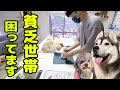 貧乏世帯とうとうクレジットカードを止められちゃいました。