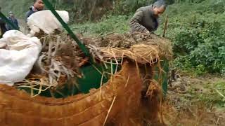 यसरी पर्याे साताै चितुवा खाेरमा