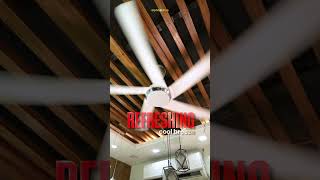 Qulik Alpha Edge 4B & 5B ✨ Premium Ceiling Fan with Underlight & Smart Control