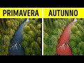 I fiumi più imprevedibili della natura seguono le proprie regole