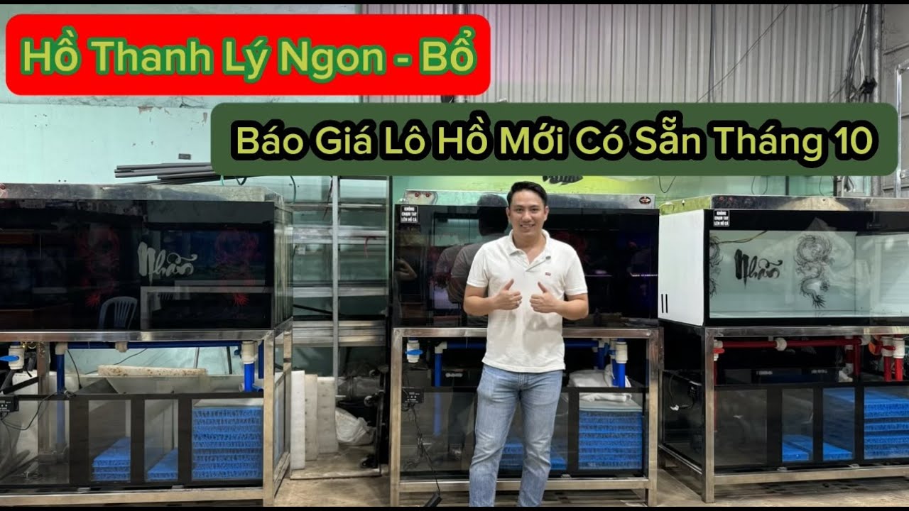 Hồ Thanh Lý Ngon Giá Êm - Báo Giá Lô Hồ Có Sẵn Tháng 10