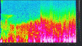 Listen to Data Video 4 Boom
http://www.astropage.eu/index_news.php?id=1593 NASA-Forscher nutzen Sonifikation von Magnetfelddaten des Sonnenwinds
By listening only to the auditory representation of the data, the study’s participant was able to correctly predict what this would look like on a more traditional graph. He correctly deduced that that the chirp would show up as a particular kind of peak on a kind of graph called a spectrogram, a graph that shows different levels of frequencies present in the waves that Wind recorded. The researcher also correctly predicted that the corresponding spectrogram representation of the percussive event would display a steep slope.
Credit: NASA Listen to Data Video 4 Boom
