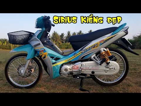 Khám phá 115 sirius kiểng 2016 siêu hot  thdonghoadian