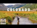 Does it get any better? Backcountry valley full of massive trout | Fly fishing Colorado