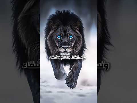 يكفيني أني لست منافقا ولا أجامل الناس كذبا ولا أعرف الناس وقت ما أحتاجهم يكفيني أني حقيقي