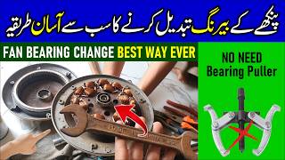 Ceiling Fan Bearing Replacement Fix A Noisy Ceiling Fan Fan Bearing Easy Change Tip Trick