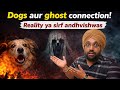 Dogs aur ghost connection | reality ya sirf andhvishwas😳☠️