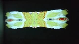 Tipper Jook- Bosart Visuals