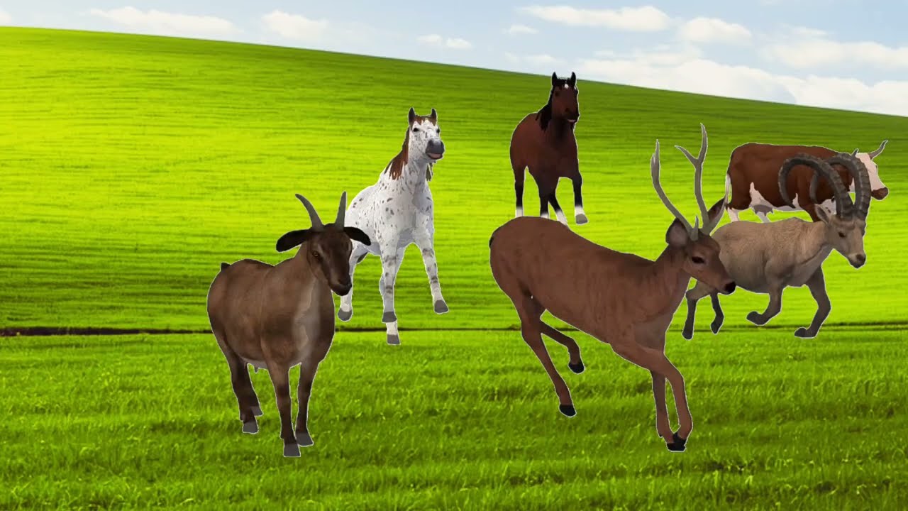 Animals Stampede Funny Forest Animals | Horse Buffalo Cow Deer Running 