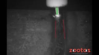 Leo WELD.EYE TRACKER