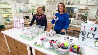 Celebrity Ruby Set of 24 Holding Hands Reusable Magnetic Zip Ties on QVC Wealth