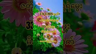 တင်တိုင်းမြင်အောင်#2d#3d#Live#popular#tikto#shorts
