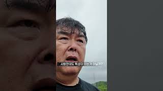 제초제 중에 가장 빨리 죽는 제초제를 알려드립니다. #제초제 #테라도골드