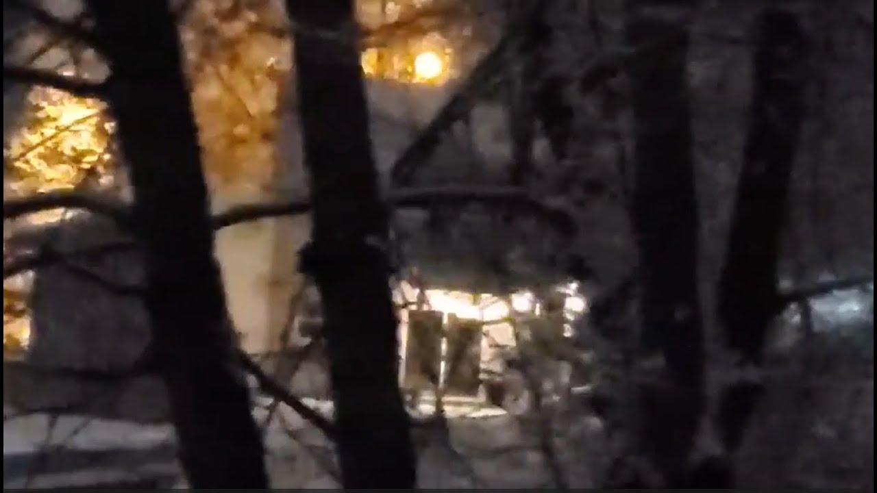 IDAHO 4 | WHAT COULD THE CAR ON WALENTA SEE? | BRYAN KOHBERGER