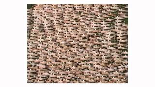 TEDxSanMigueldeAllende - Spencer Tunick