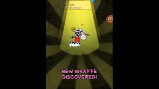 Giraffe evolution