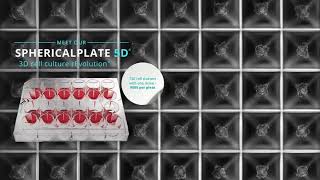 Latest Organoids & 3D cell culturing technique with Sphericalplate 5D