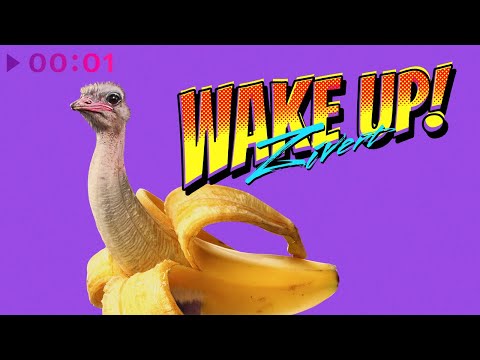 Zivert - WAKE UP! | Official Audio | 2022
