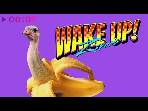 Zivert - Wake Up! | Official Audio | 2022