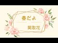 初心者ドラム 練習動画   春だよ 関取花