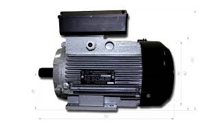 Однофазный электродвигатель АИ1Е 80 С2 2.2кВт 3000об/мин. 220В