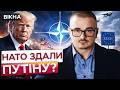 ПУТІН НАПАДЕ ЗАВТРА? Трамп РОЗВАЛИВ захист НАТО! СЕКРЕТНИЙ план ПОМСТИ союзникам РОЗКРИТО!